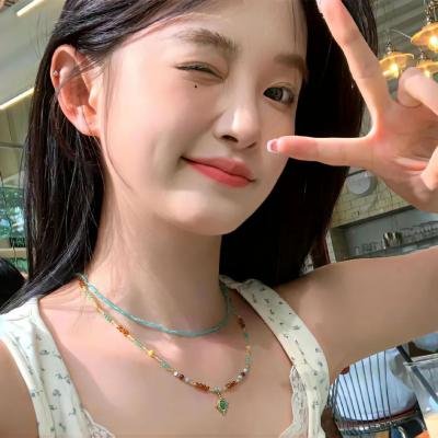 导尽我梦想:李察连利加